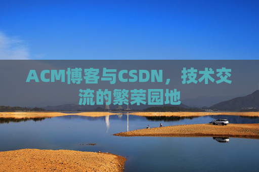 ACM博客与CSDN，技术交流的繁荣园地